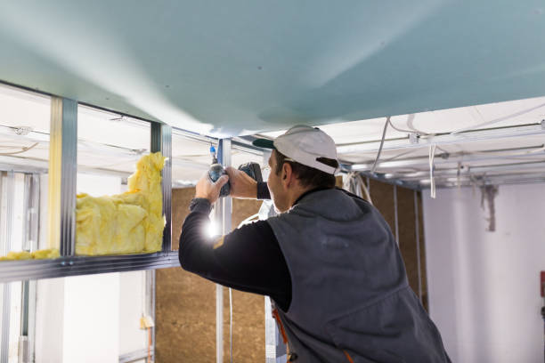 Best Eco-Friendly Insulation in St Henry, OH