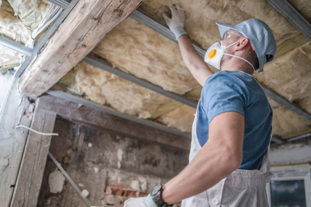 Best Geographic-Specific Insulation Services in St Henry, OH